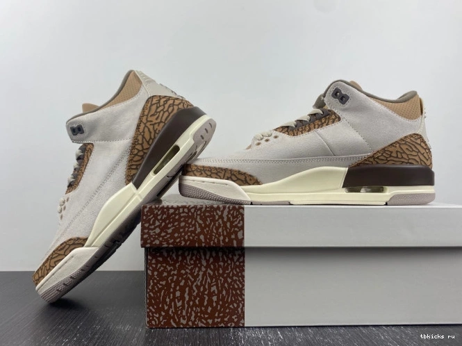 Reps TB Jordan 3 CT8532-102 Air Palomino 0724